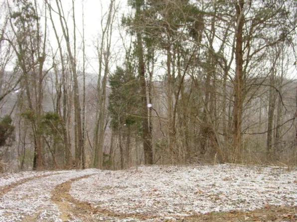 (undisclosed Address), Bristol, VA 24202