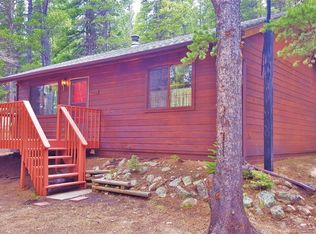 49 Elk Ct, Idaho Springs, CO 80452