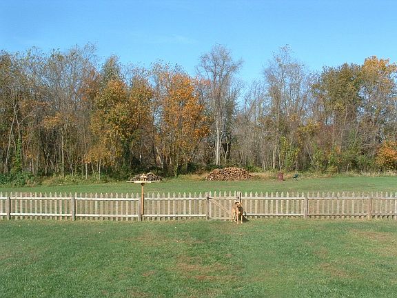 the backyard in fall
