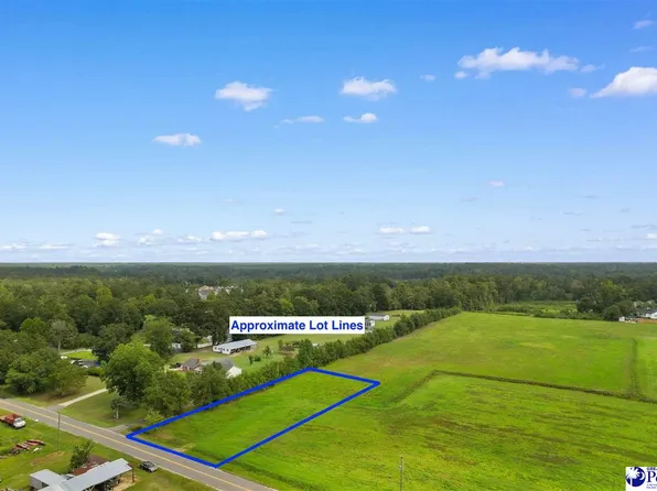 Tbd Zion Rd, Galivants Ferry, SC 29544