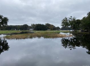 3970 N Bluewater Dr, Hernando, FL 34442