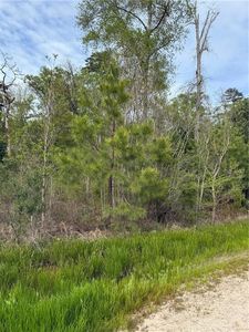 Odra Pritchard Leteff Rd, Independence, LA, 70443