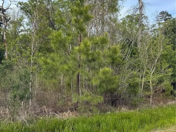 Odra Pritchard Leteff Rd, Independence, LA 70443