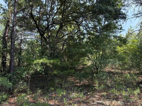 LOT 2 Dumajack Rd, Chipley, FL 32428