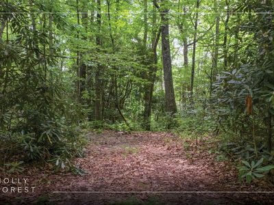 Lot 82 Black Oak Drive, Sapphire, NC, 28774