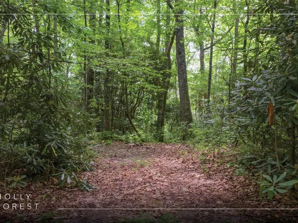 Lot 82 Black Oak Drive, Sapphire, NC 28774