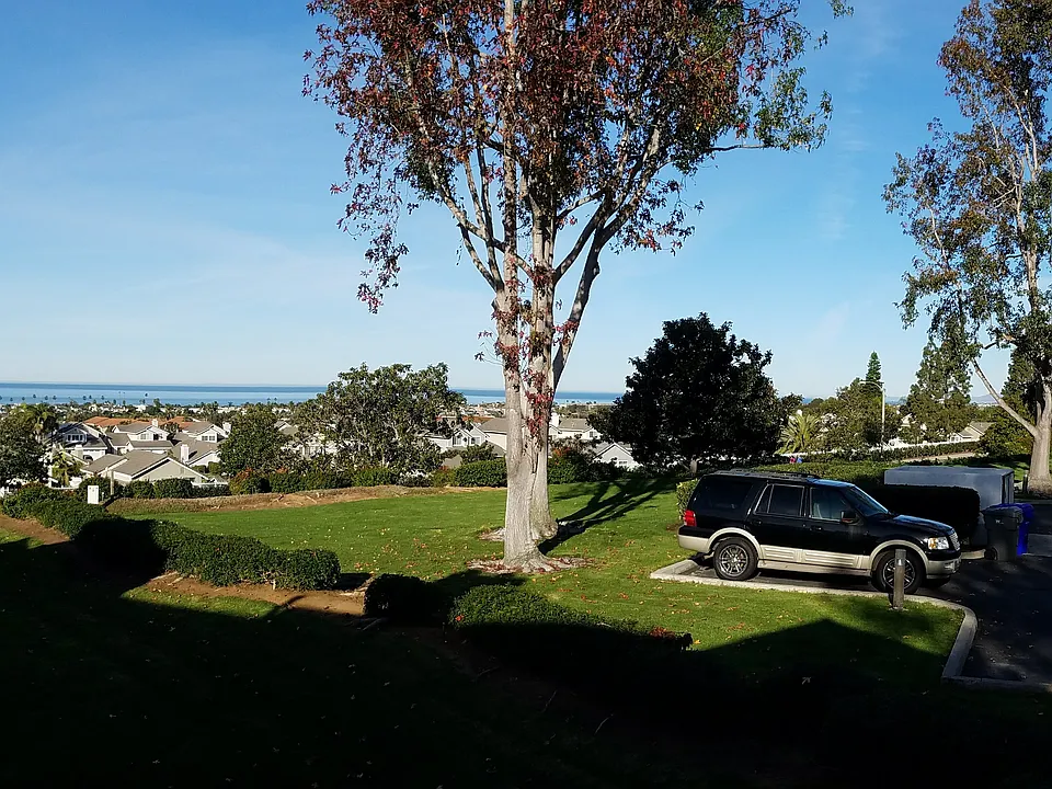 Bedroom view #2