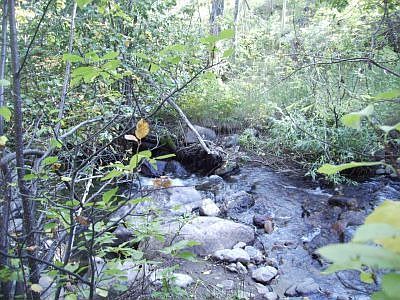 Creek
