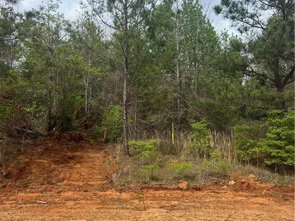 2 Scott Rd Lot 2, Pollock, LA 71467