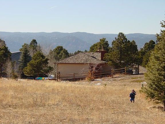 open park-like backyard
