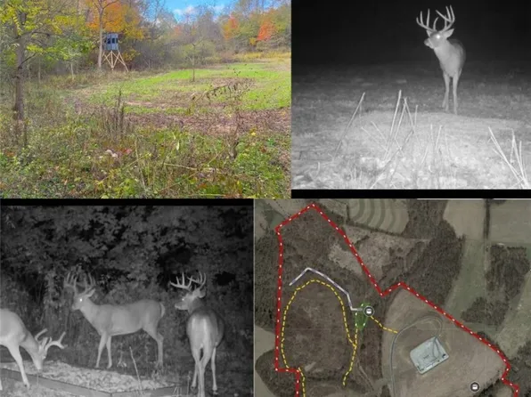 187 State Route 152, Dillonvale, OH 43917