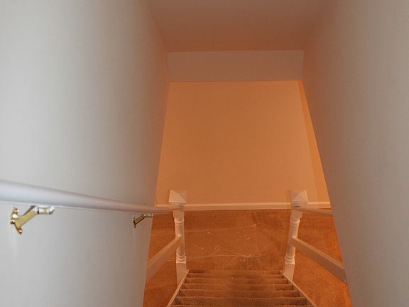 5th image of 517 Forest Hills Ave