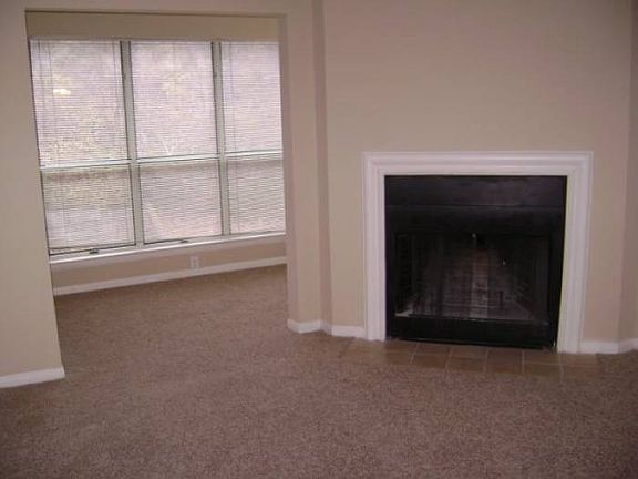 Wood Burning Fireplace