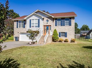 156 Ashley Dr, Mt Carmel, TN 37645