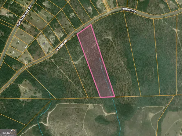 4 Horne Rd, Roberta, GA 31078