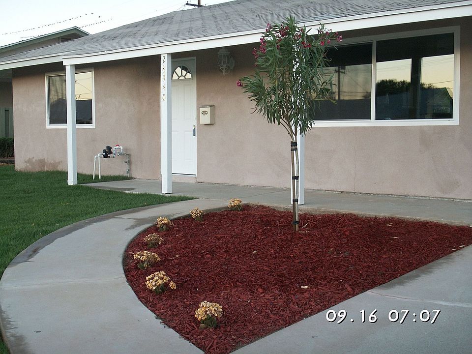 All new stucco and lawn