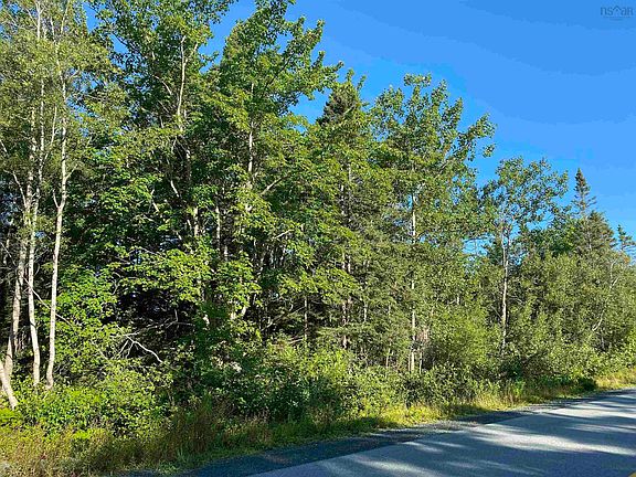 4th image of Eastern Shore Rd Lot 14