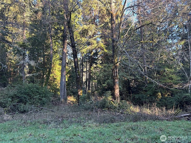 5th image of 12719 & 12723 96th Street Ct