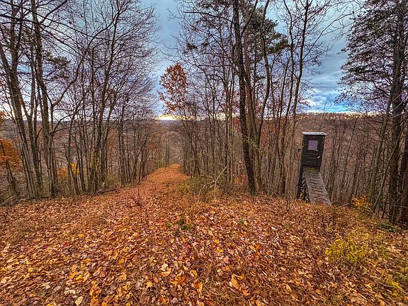 30th image of this home