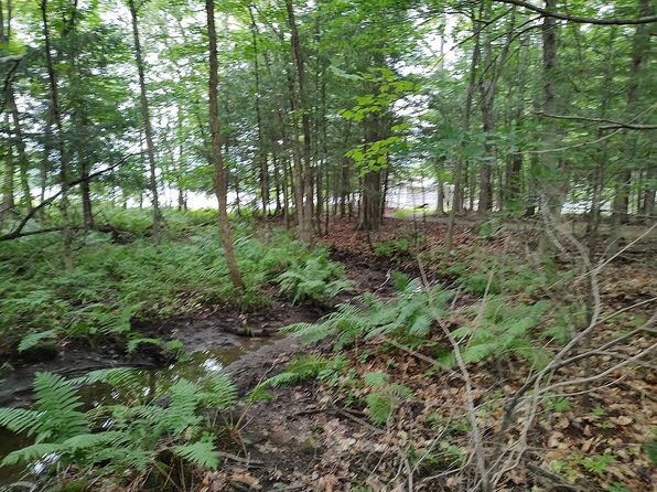 0 Lovejoy Pond Rd, Wayne, ME 04284