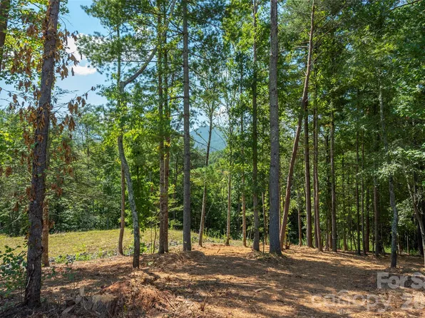 149 Riverbend Forest Dr #6, Asheville, NC 28805