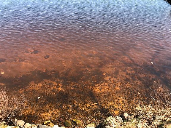 3rd image of 1146 Catfish Lake Rd