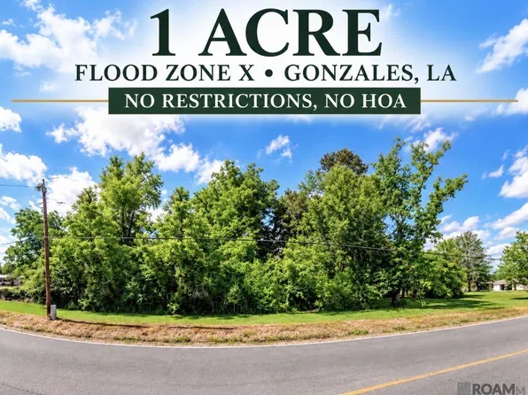 42436 State Highway 621 Hwy, Gonzales, LA 70737