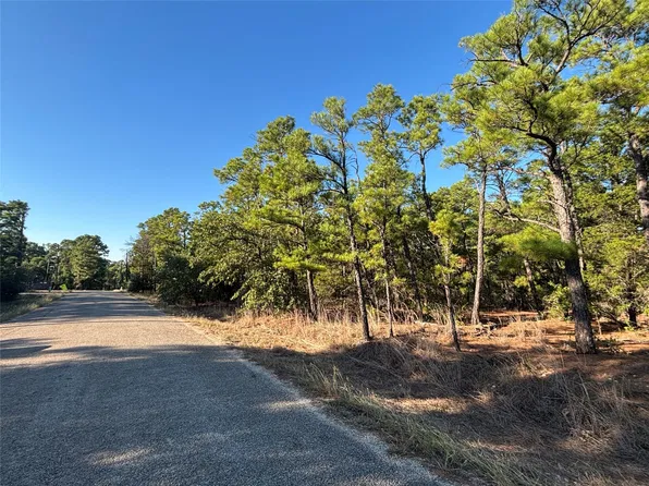 Pine Cone Dr, Bastrop, TX 78602