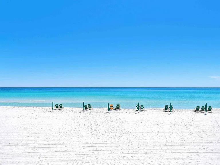 Window View