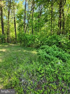 Everona Rd, Unionville, VA, 22567