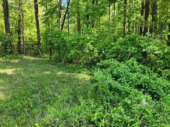 Everona Rd, Unionville, VA 22567