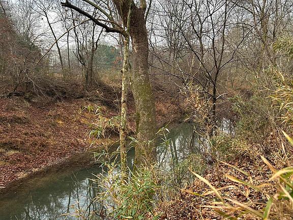 2nd image of 3306 Black Hill Rd