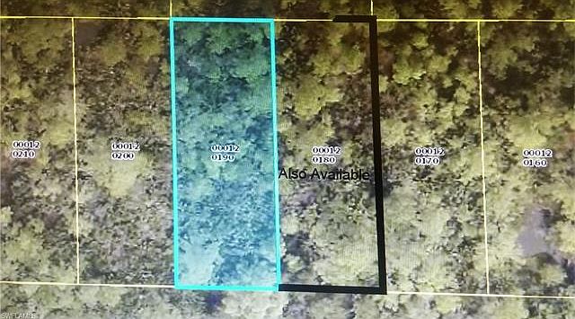1st image of 2317 Deerfield Ln