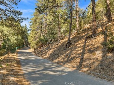 0 Torrey Rd #81, Cedar Glen, CA, 92321
