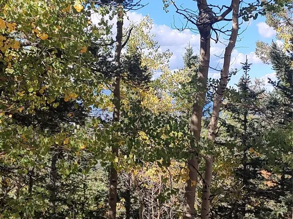 Lot 5374, Fort Garland, CO 81133