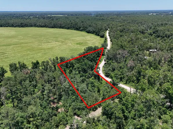 0 NE Leek Trl, Lee, FL 32059
