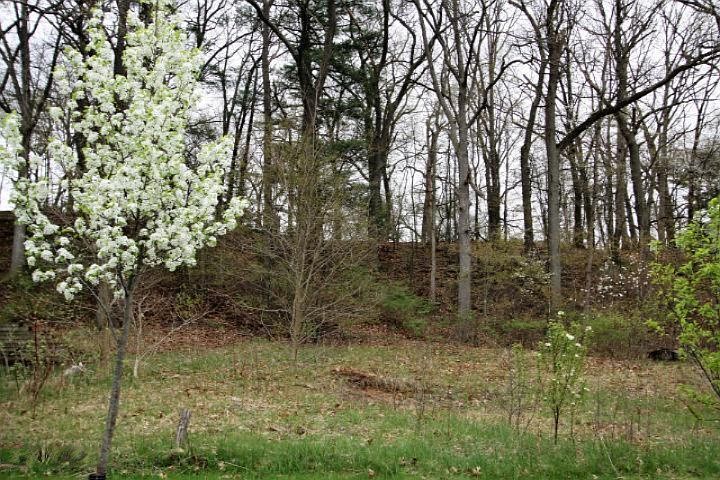 2nd image of 2307 View Ln #11
