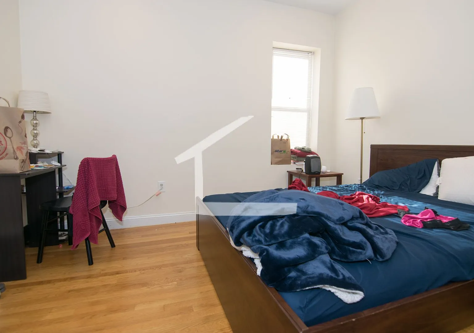 Amazing 4 Bed 2 Bath In Brookline..... — Photo 3