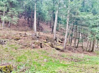 446 Laurel Rd #46, Greene, NY 13778