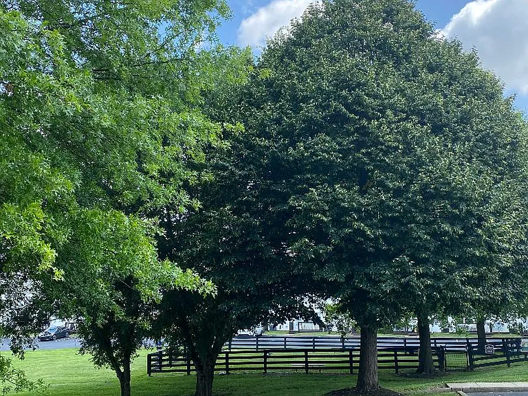 Visitor parking available