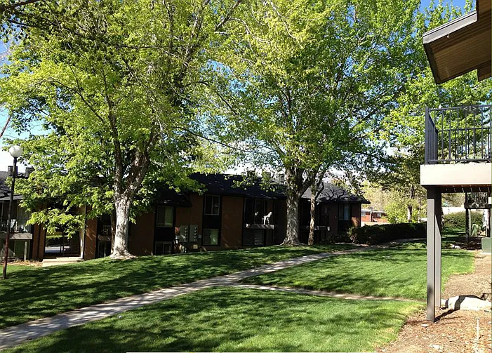 Orchard Gardens (OG) — Photo 12