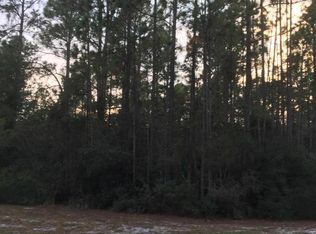 121 Redwood Blvd, Georgetown, FL 32139