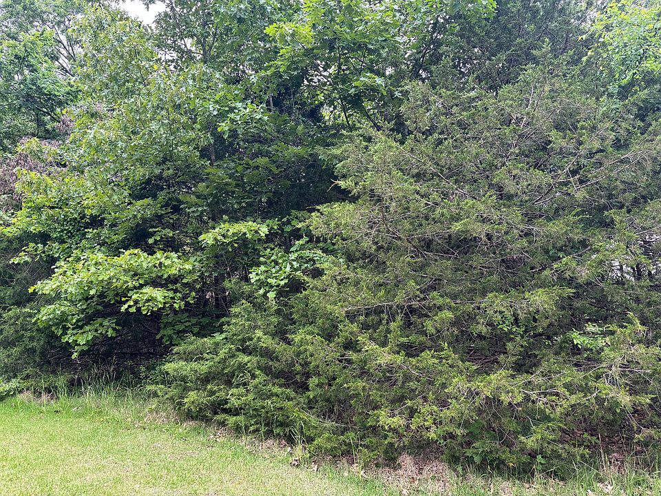 2nd image of Tbd County Road 635 A