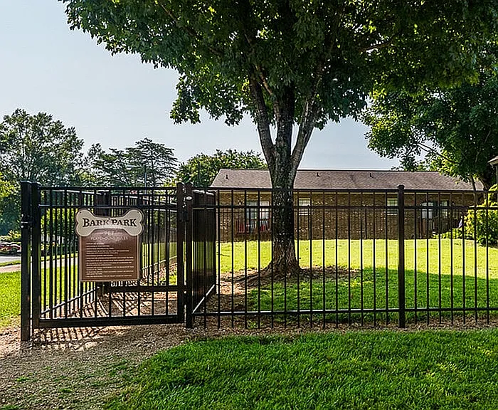 Dog park