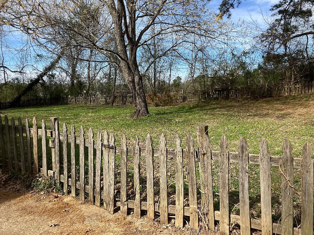 3 bed, 2079 sqft, $2,100 — Photo 2