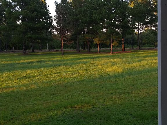 View from front porch