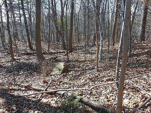5th image of 6 Sentry Hill Trail