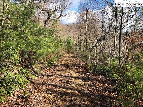 Lot 157A Buck Mountain Road, Purlear, NC 28665 | MLS #242155 | Zillow