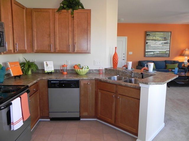 Modern Kitchen