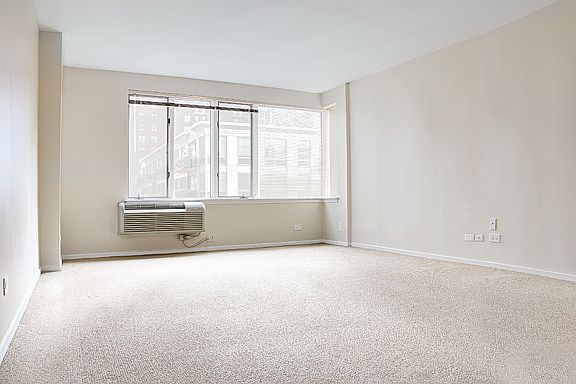 5th image of 801 S Plymouth Ct APT 1001